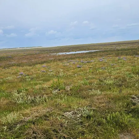 Semesterbostad Seaside Retreat At Rim - By Traum *